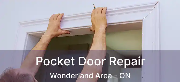 Pocket Door Repair Wonderland Area - ON