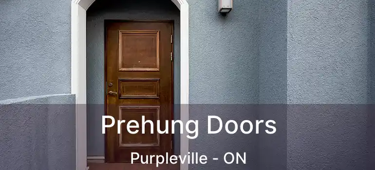Prehung Doors Purpleville - ON