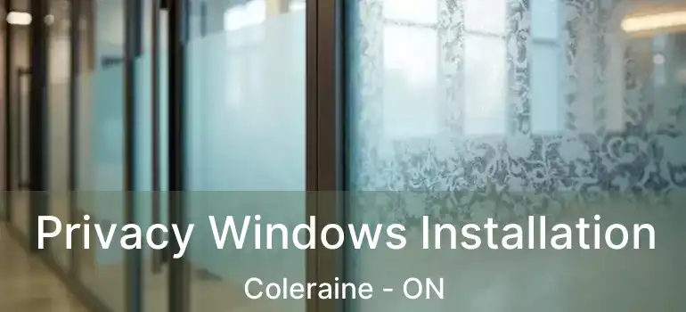  Privacy Windows Installation Coleraine - ON