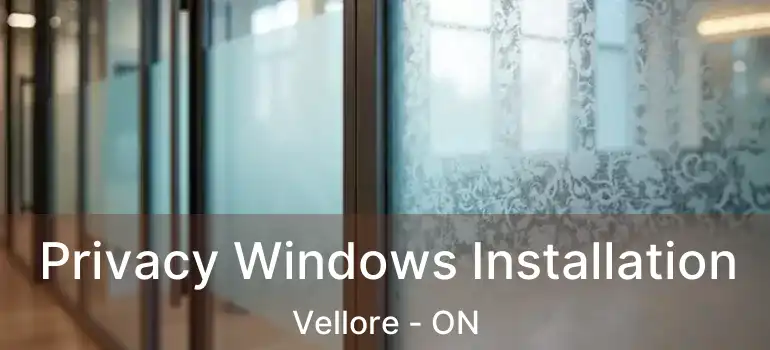 Privacy Windows Installation Vellore - ON