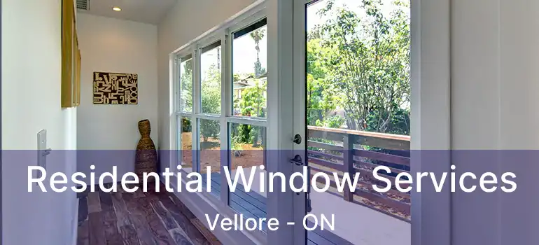 Residential Window Services Vellore - ON