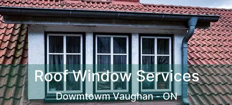 Roof Window Services Dowmtowm Vaughan - ON