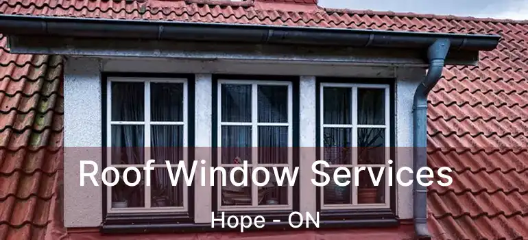 Roof Window Services Hope - ON