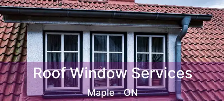  Roof Window Services Maple - ON