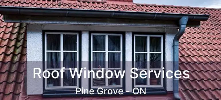  Roof Window Services Pine Grove - ON
