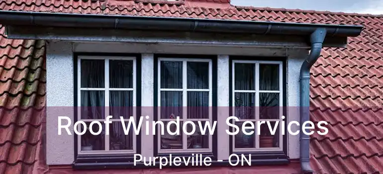  Roof Window Services Purpleville - ON