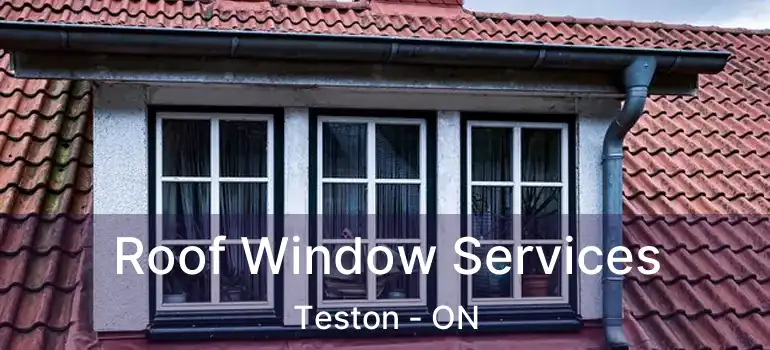  Roof Window Services Teston - ON