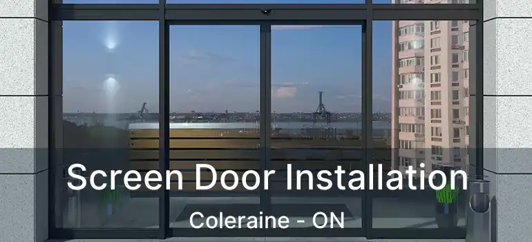 Screen Door Installation Coleraine - ON