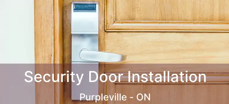  Security Door Installation Purpleville - ON