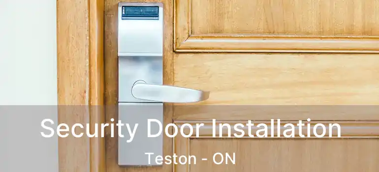 Security Door Installation Teston - ON