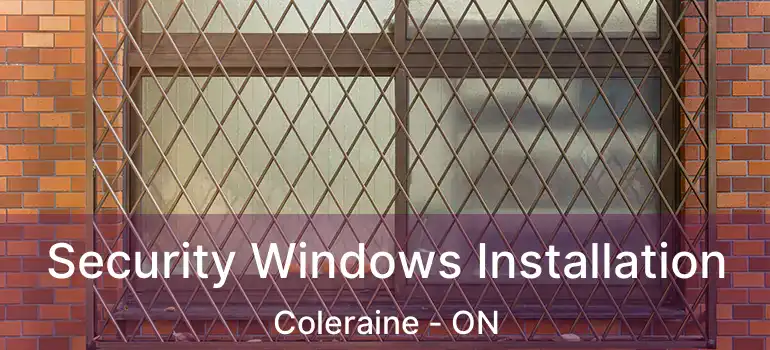  Security Windows Installation Coleraine - ON
