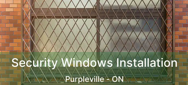  Security Windows Installation Purpleville - ON