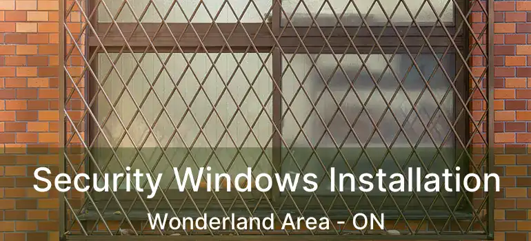  Security Windows Installation Wonderland Area - ON