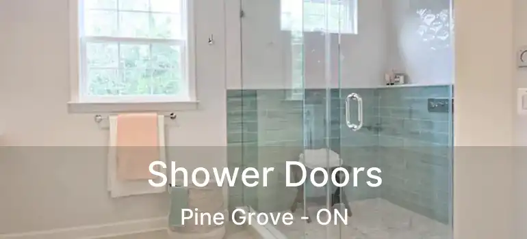  Shower Doors Pine Grove - ON