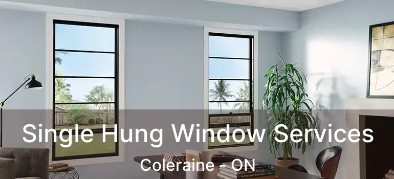  Single Hung Window Services Coleraine - ON
