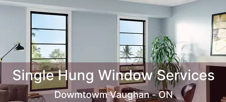  Single Hung Window Services Dowmtowm Vaughan - ON