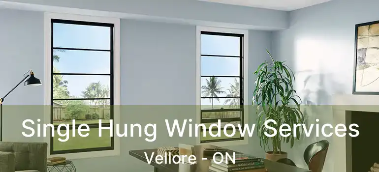  Single Hung Window Services Vellore - ON