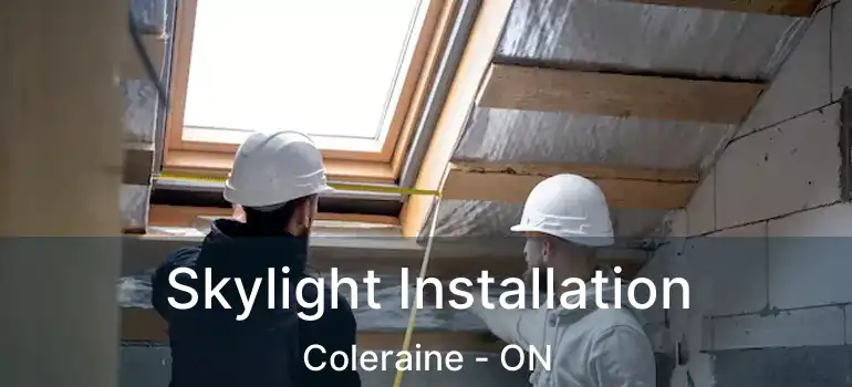 Skylight Installation Coleraine - ON