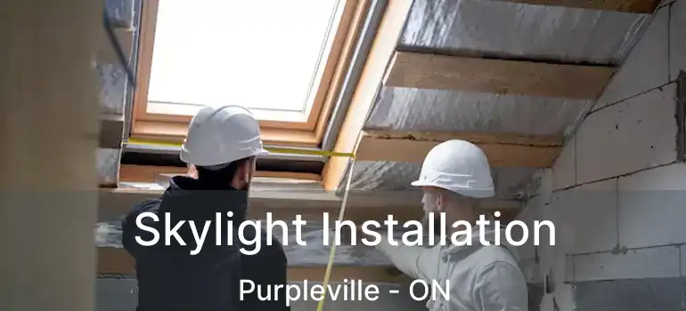  Skylight Installation Purpleville - ON