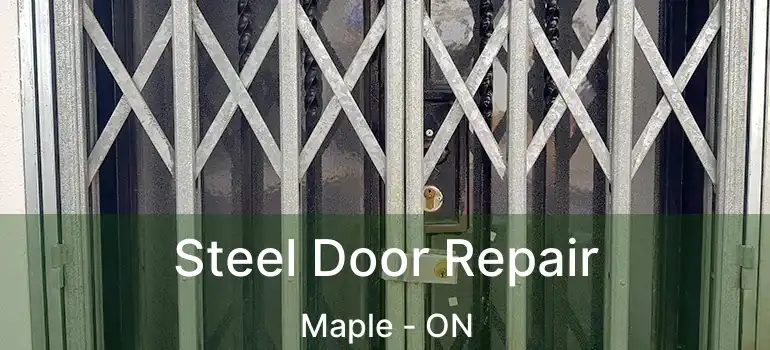 Steel Door Repair Maple - ON