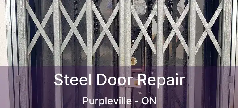 Steel Door Repair Purpleville - ON