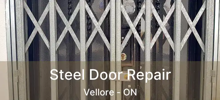  Steel Door Repair Vellore - ON