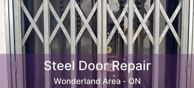 Steel Door Repair Wonderland Area - ON