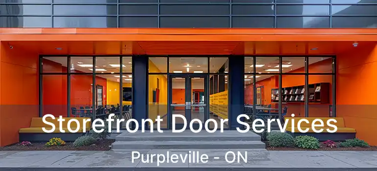  Storefront Door Services Purpleville - ON