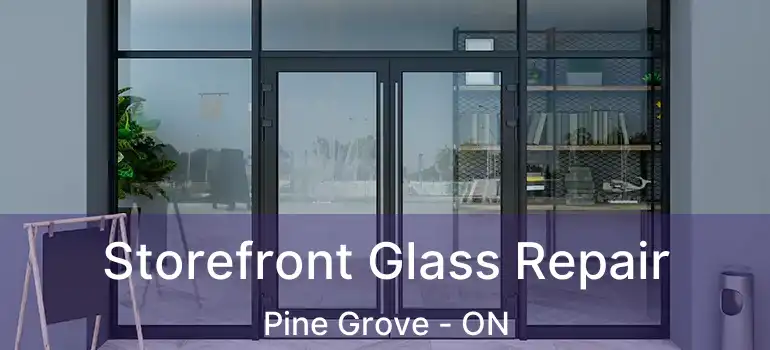 Storefront Glass Repair Pine Grove - ON