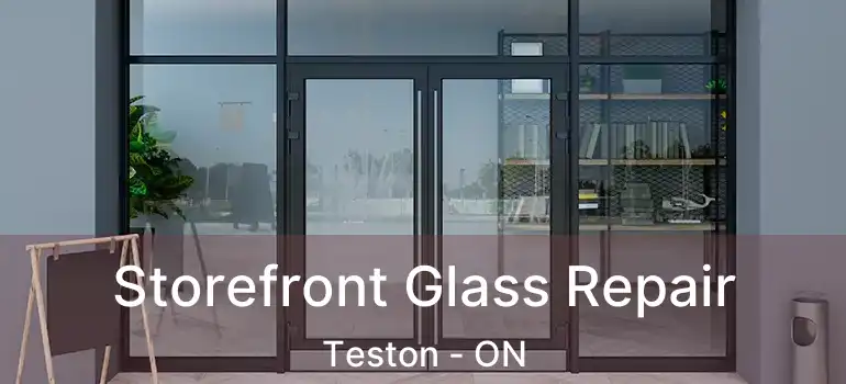  Storefront Glass Repair Teston - ON