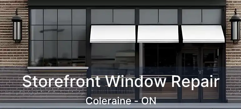 Storefront Window Repair Coleraine - ON