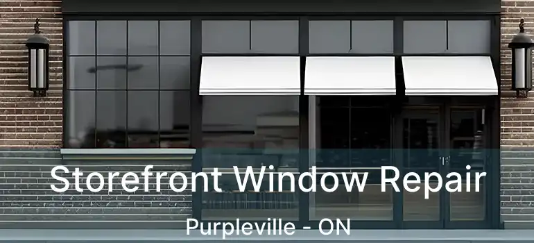 Storefront Window Repair Purpleville - ON