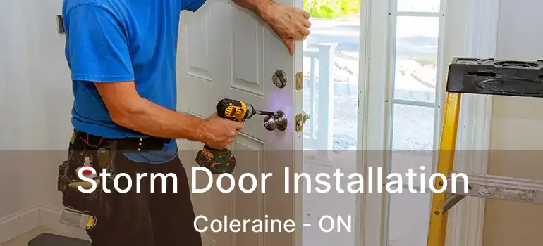 Storm Door Installation Coleraine - ON