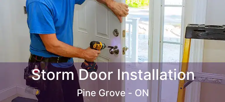  Storm Door Installation Pine Grove - ON
