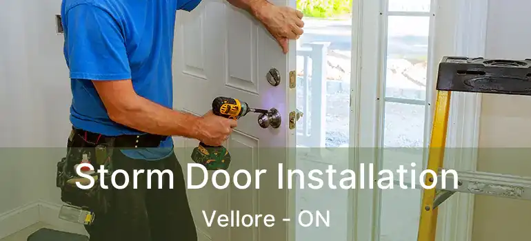  Storm Door Installation Vellore - ON