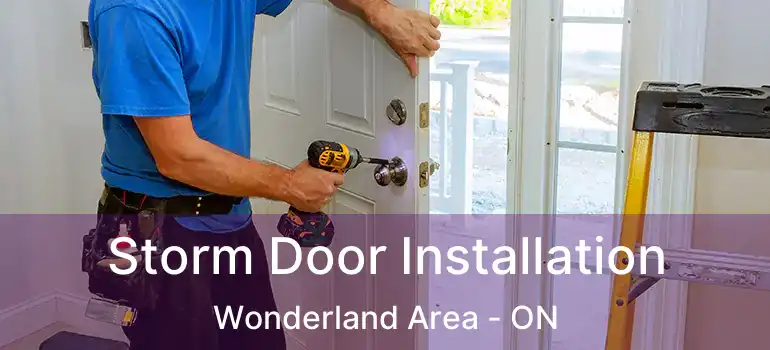  Storm Door Installation Wonderland Area - ON