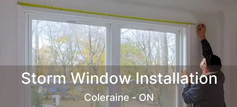  Storm Window Installation Coleraine - ON