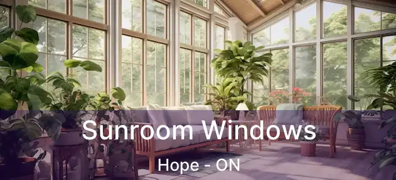  Sunroom Windows Hope - ON