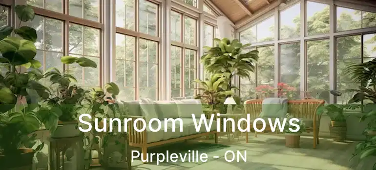 Sunroom Windows Purpleville - ON