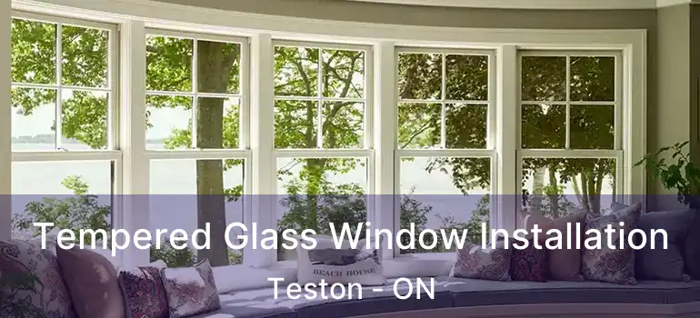  Tempered Glass Window Installation Teston - ON