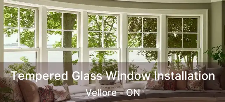  Tempered Glass Window Installation Vellore - ON