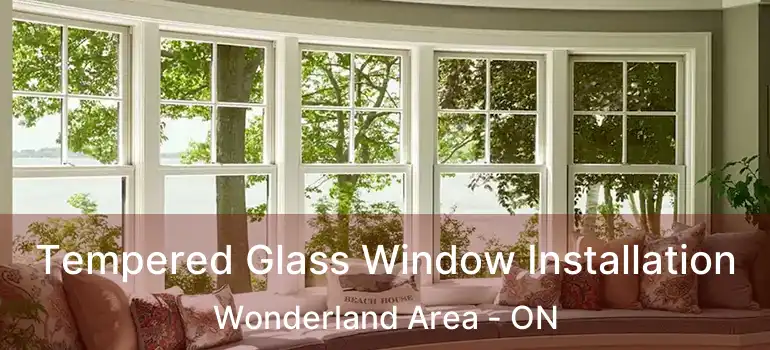  Tempered Glass Window Installation Wonderland Area - ON