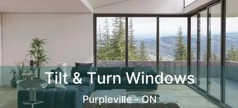 Tilt & Turn Windows Purpleville - ON