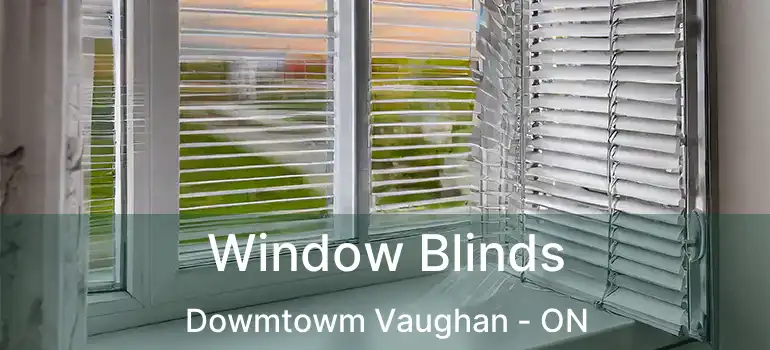  Window Blinds Dowmtowm Vaughan - ON
