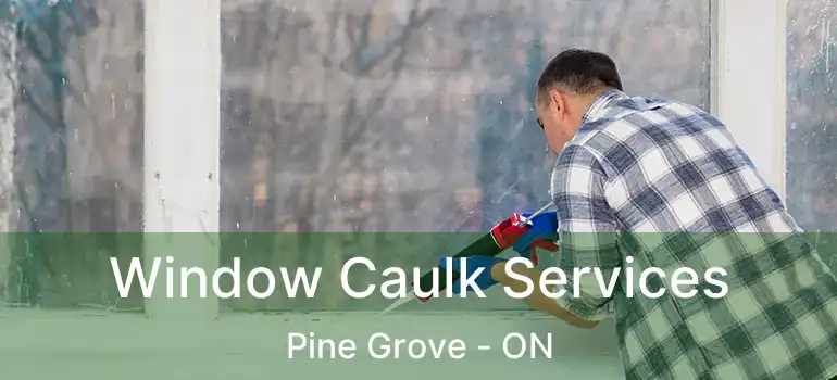  Window Caulk Services Pine Grove - ON