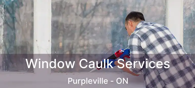 Window Caulk Services Purpleville - ON