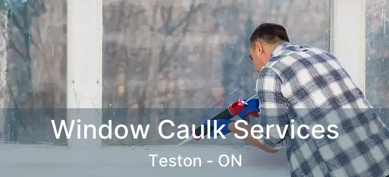 Window Caulk Services Teston - ON