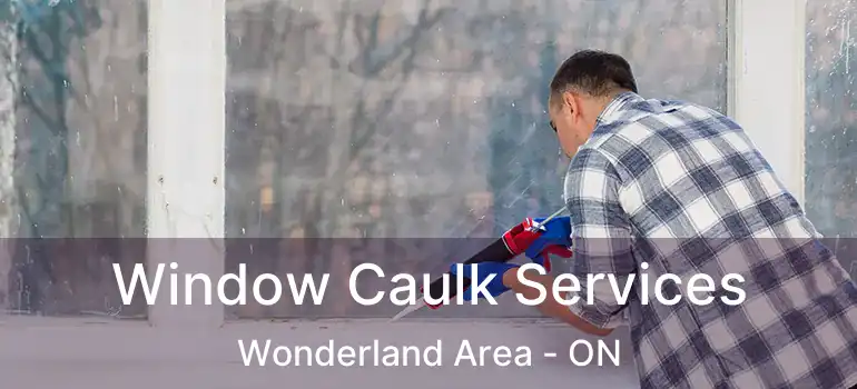 Window Caulk Services Wonderland Area - ON