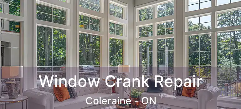  Window Crank Repair Coleraine - ON