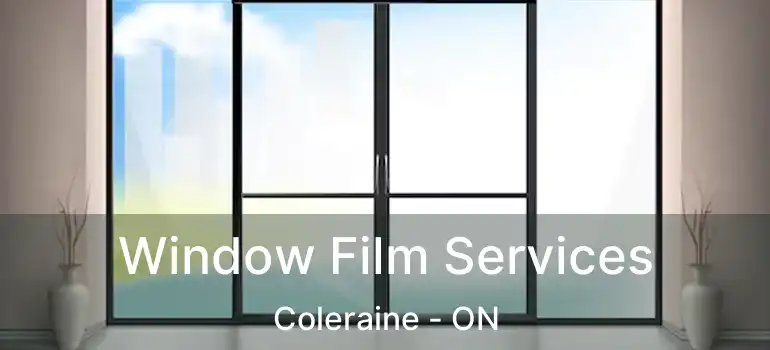  Window Film Services Coleraine - ON